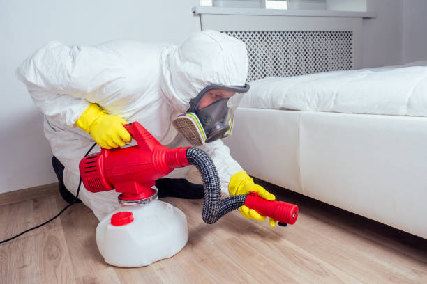 Best Fumigation Services  in USA